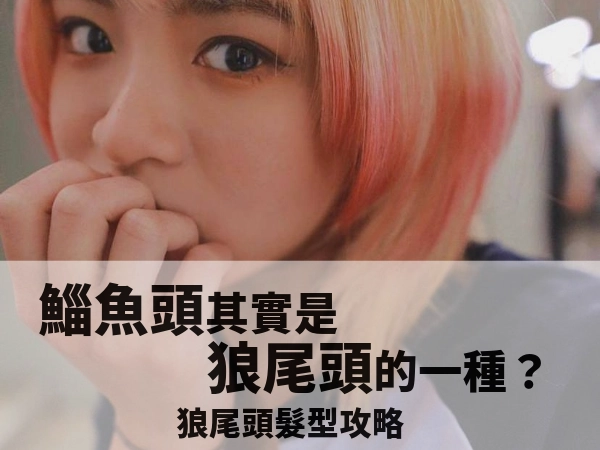 其實狼尾頭女就是鯔魚頭|狼尾頭女臉型、日系狼尾頭女、鯔魚頭是什麼頭?