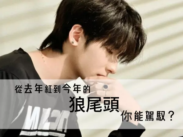 狼尾頭介紹、狼尾頭適合臉型